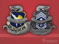 Command Chief Challenge Coin 122nd FW