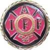 organization_univeral-city_fire-department_challenge-coin_2_595
