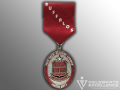 foxtech-fiesta-medal