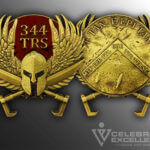 Celebrate Excellence 344 TRS Challenge Coin